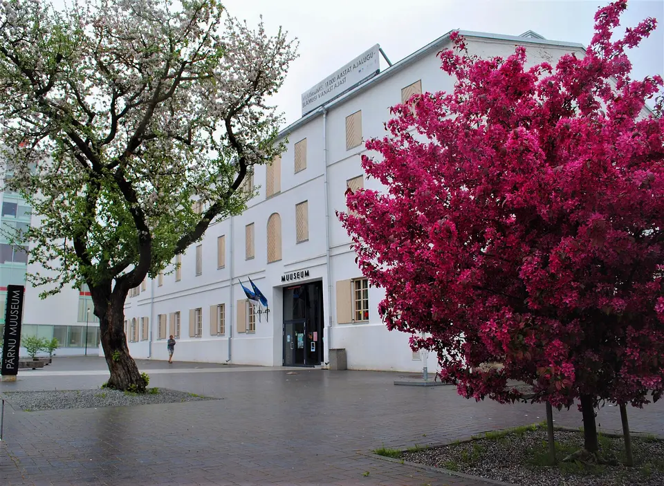 Pärnu Museum, Pärnu